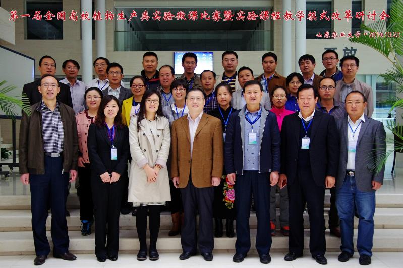 ��������Ӱ